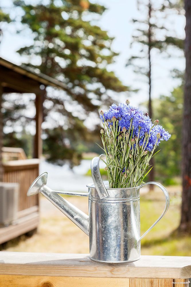First Camp Gunnarsoe-Oskarshamn Otel Dış mekan fotoğraf